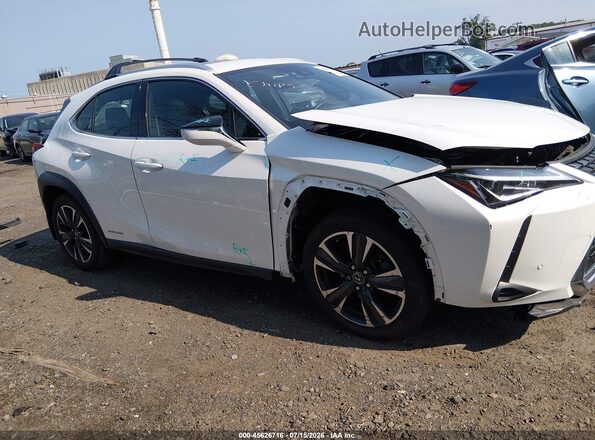 JTHU9JBH6K2016127 2019 LEXUS UX 250H Белый Вид задней части салона