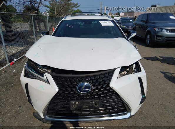 JTHU9JBH6K2016127 2019 LEXUS UX 250H Белый Вид щитка приборов