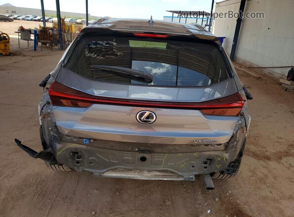 JTHU9JBH8K2000303 2019 LEXUS UX Gray Widok z tyłu