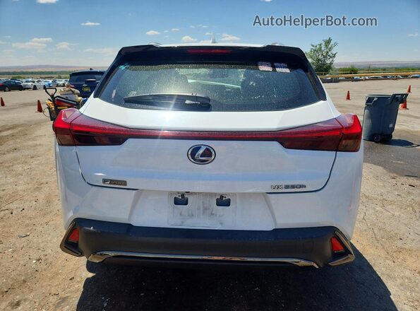 JTHU9JBHXK2018933 2019 LEXUS UX White Rear view