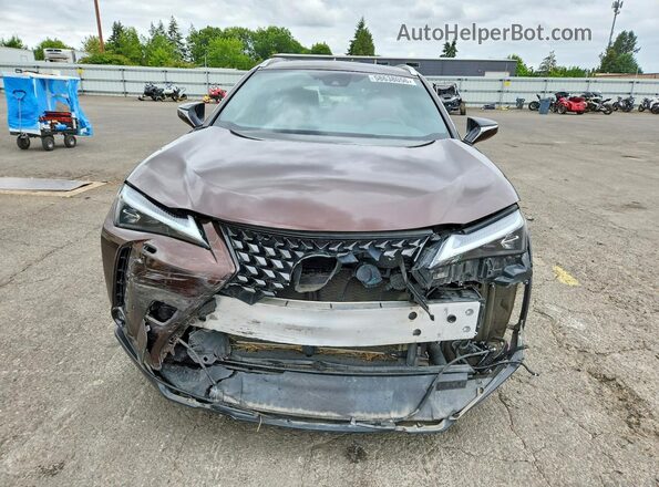 JTHU9JBHXK2019760 2019 LEXUS UX Brown Դիմացի տեսք