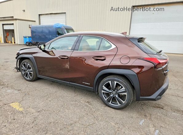JTHU9JBHXK2019760 2019 LEXUS UX Brown Հետևի ձախ
