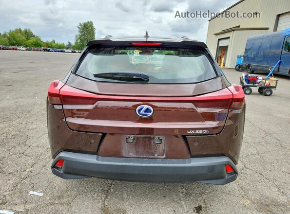 JTHU9JBHXK2019760 2019 LEXUS UX Brown Հետևի տեսք