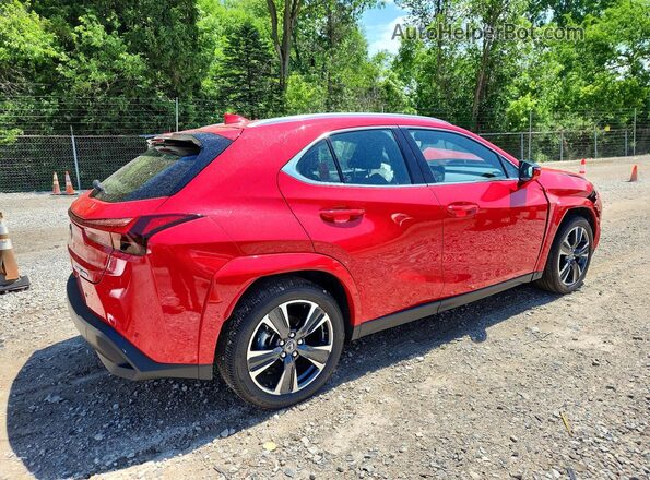JTHUCJDH1S2008726 2025 LEXUS UX Red Հետևի աջ