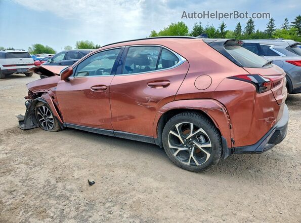 JTHUCJDH3S2008839 2025 LEXUS UX Burn Tył lewy
