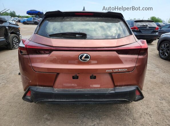 JTHUCJDH3S2008839 2025 LEXUS UX Burn Widok z tyłu