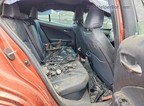 JTHUCJDH3S2008839 2025 LEXUS UX Burn Widok tylnych siedzeń