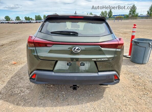 JTHUCJDH5S2012956 2025 LEXUS UX Green Rear view