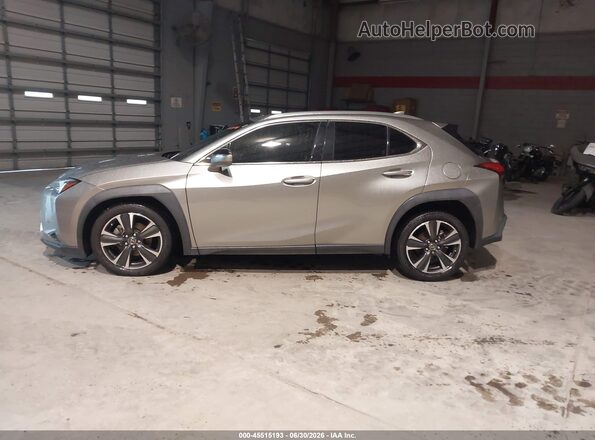 JTHX3JBH2L2025052 2020 LEXUS UX 200 Gray სალონის 360-გრადუსიანი ხედი