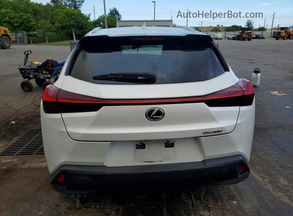 JTHX3JBH2M2042869 2021 LEXUS UX White Вид ззаду