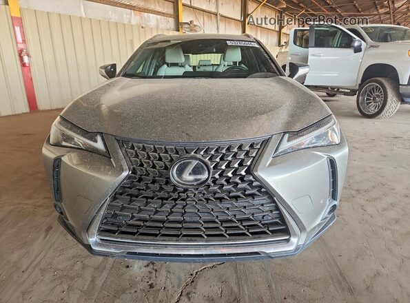 JTHX3JBH5M2042705 2021 LEXUS UX Gray Widok z przodu