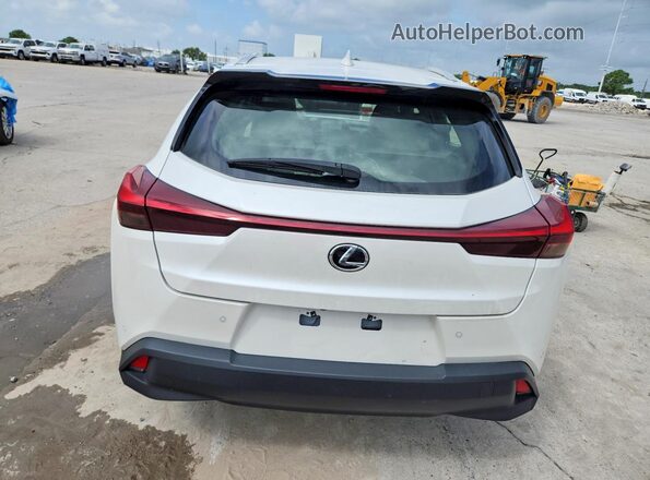 JTHX6JBH1R2189389 2024 LEXUS UX Белый Вид сзади