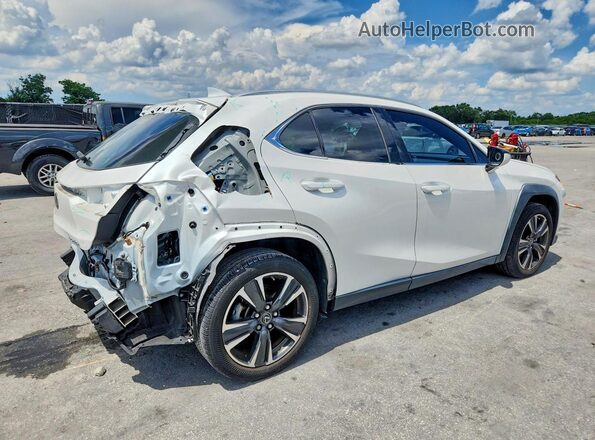 JTHX6JBH9P2152197 2023 LEXUS UX White Tył prawy
