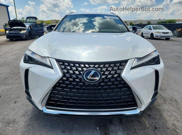 JTHX6JBH9P2152197 2023 LEXUS UX White Widok z przodu