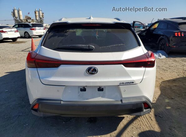 JTHX9JBH2M2040389 2021 LEXUS UX White Widok z tyłu