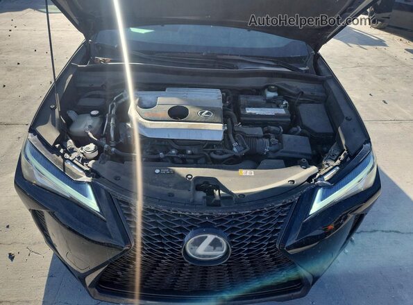 JTHY3JBH0K2002355 2019 LEXUS UX Black Rear interior view