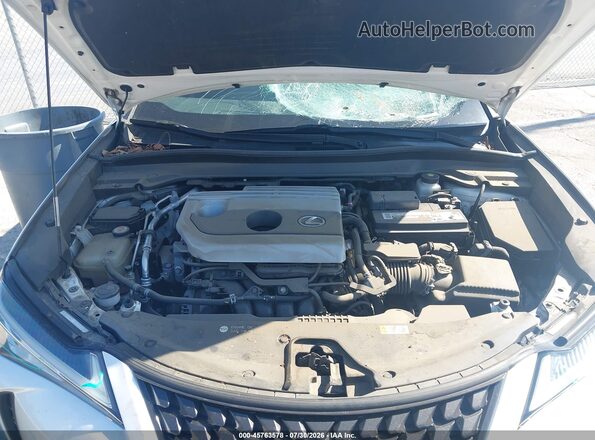 JTHY3JBH1K2004468 2019 LEXUS UX 200 White Հետևի տեսք