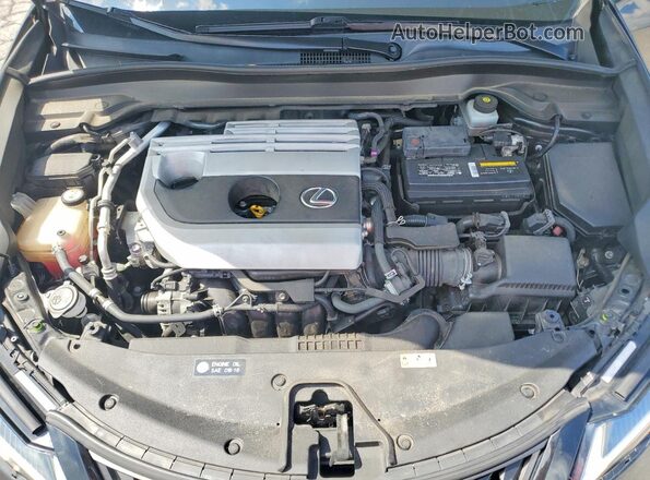 JTHY3JBH1K2006253 2019 LEXUS UX Black Սալոնի հետևի տեսք