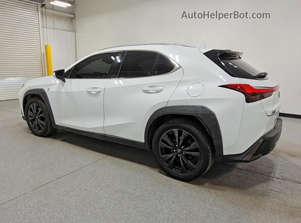 JTHY3JBH1K2007158 2019 LEXUS UX White Rear left
