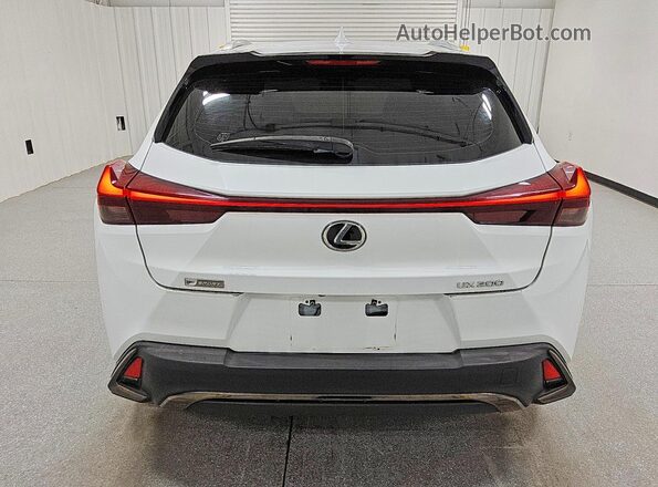 JTHY3JBH1K2007158 2019 LEXUS UX White Rear view