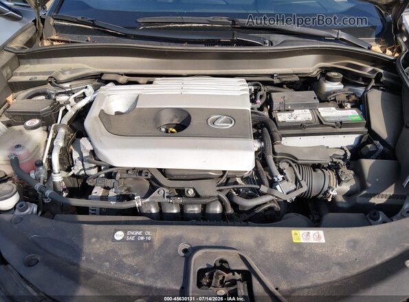 JTHY3JBH6K2000786 2019 LEXUS UX 200 Gray Вид ззаду