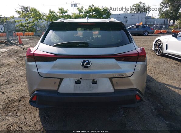 JTHY3JBH6K2000786 2019 LEXUS UX 200 Gray 