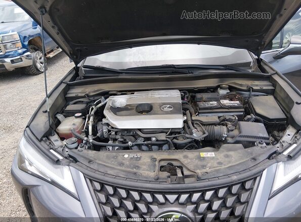JTHY3JBH6K2015207 2019 LEXUS UX 200 Gray Vista trasera