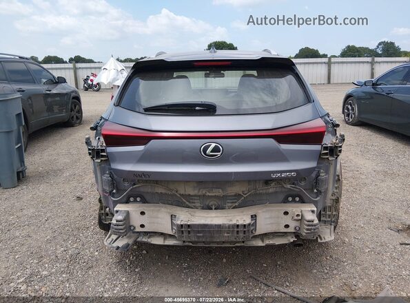JTHY3JBH6K2015207 2019 LEXUS UX 200 Gray 