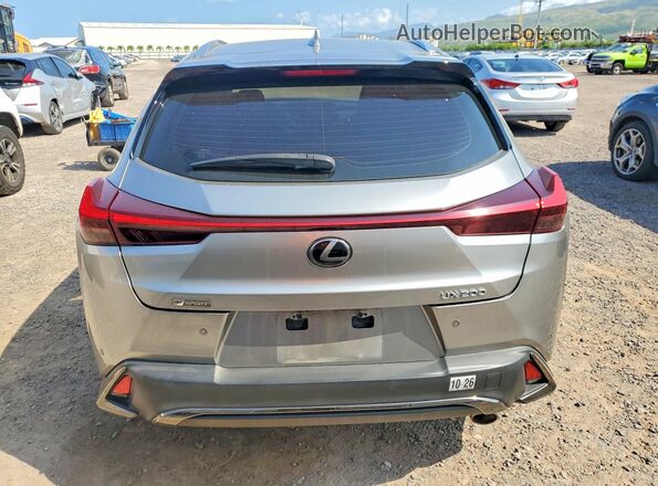 JTHY3JBH8K2009277 2019 LEXUS UX Silver Vista trasera