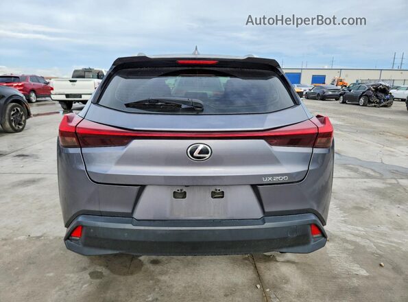 JTHY3JBH8K2017671 2019 LEXUS UX Серый Вид сзади