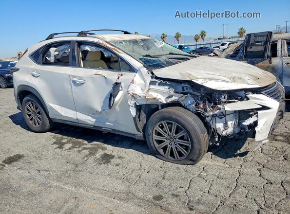 JTJAARBZ6L5010294 2020 LEXUS NX White Передня права чверть