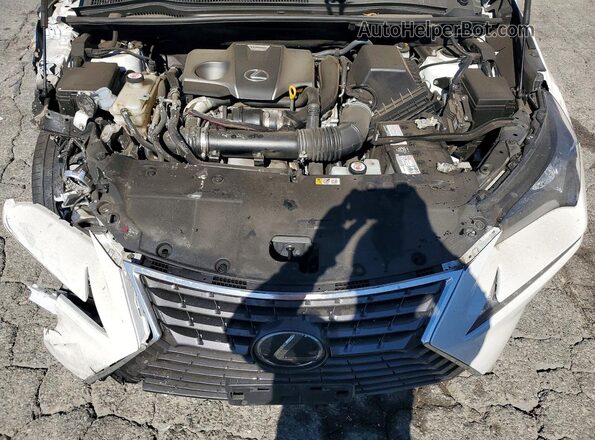 JTJAARBZ6L5010294 2020 LEXUS NX White Вид підкапотного простору