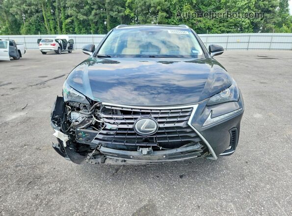 JTJAARBZ9L2166234 2020 LEXUS NX Black Вид спереду