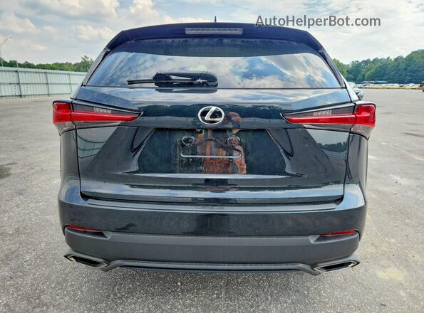 JTJAARBZ9L2166234 2020 LEXUS NX Black Вид ззаду