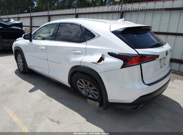 JTJAARBZXL5019161 2020 LEXUS NX 300 White Задня ліва чверть