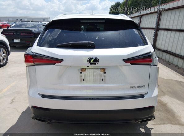 JTJAARBZXL5019161 2020 LEXUS NX 300 White 