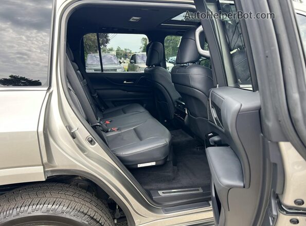 JTJAB7CX1P4024534 2023 LEXUS LX Gray Widok z tyłu