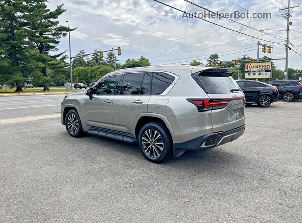 JTJAB7CX1P4024534 2023 LEXUS LX Gray Tył prawy