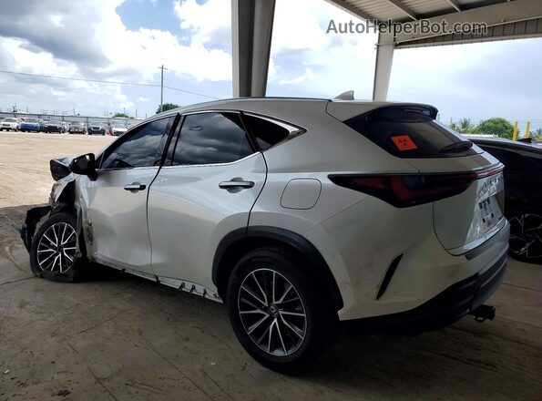 JTJADCAZ2R5018102 2024 LEXUS NX White Tył lewy