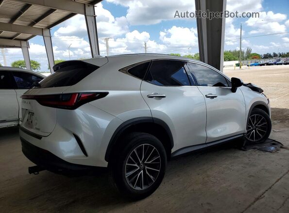 JTJADCAZ2R5018102 2024 LEXUS NX White Tył prawy