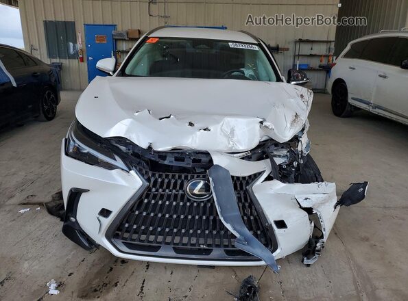 JTJADCAZ2R5018102 2024 LEXUS NX White Widok z przodu