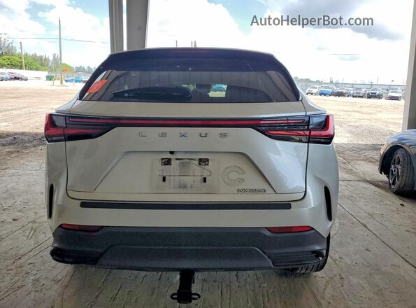 JTJADCAZ2R5018102 2024 LEXUS NX White Widok z tyłu