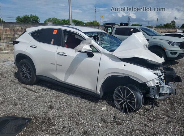 JTJADCAZ2S5024066 2025 LEXUS NX Белый Передняя правая четверть