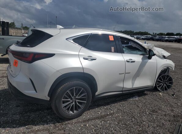JTJADCAZ2S5024066 2025 LEXUS NX Белый 