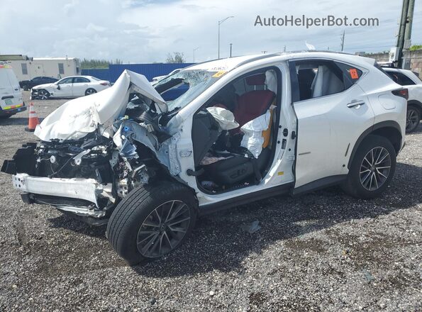 JTJADCAZ2S5024066 2025 LEXUS NX Белый 