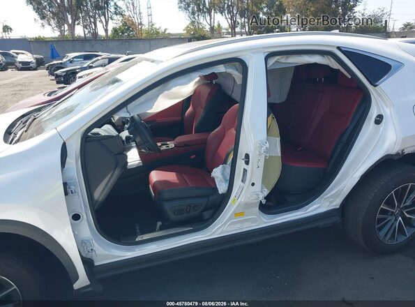 JTJADCAZ4R2011735 2024 LEXUS NX 250 White Widok z przodu