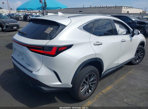 JTJADCAZ4R2011735 2024 LEXUS NX 250 White Tył prawy