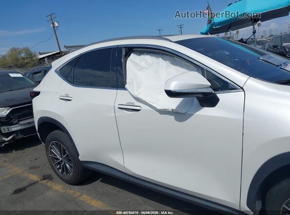 JTJADCAZ4R2011735 2024 LEXUS NX 250 White Widok wnętrza 360 stopni