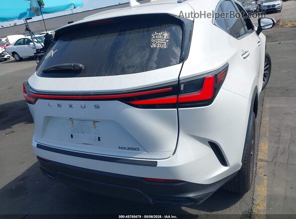 JTJADCAZ4R2011735 2024 LEXUS NX 250 White 