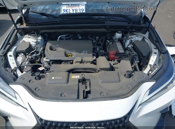 JTJADCAZ4R2011735 2024 LEXUS NX 250 White Widok z tyłu